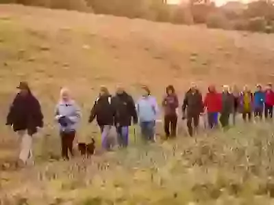 Beating the Bounds